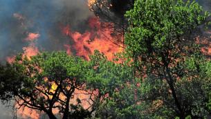 Francia, incendio al sud: evacuate migliaia di persone