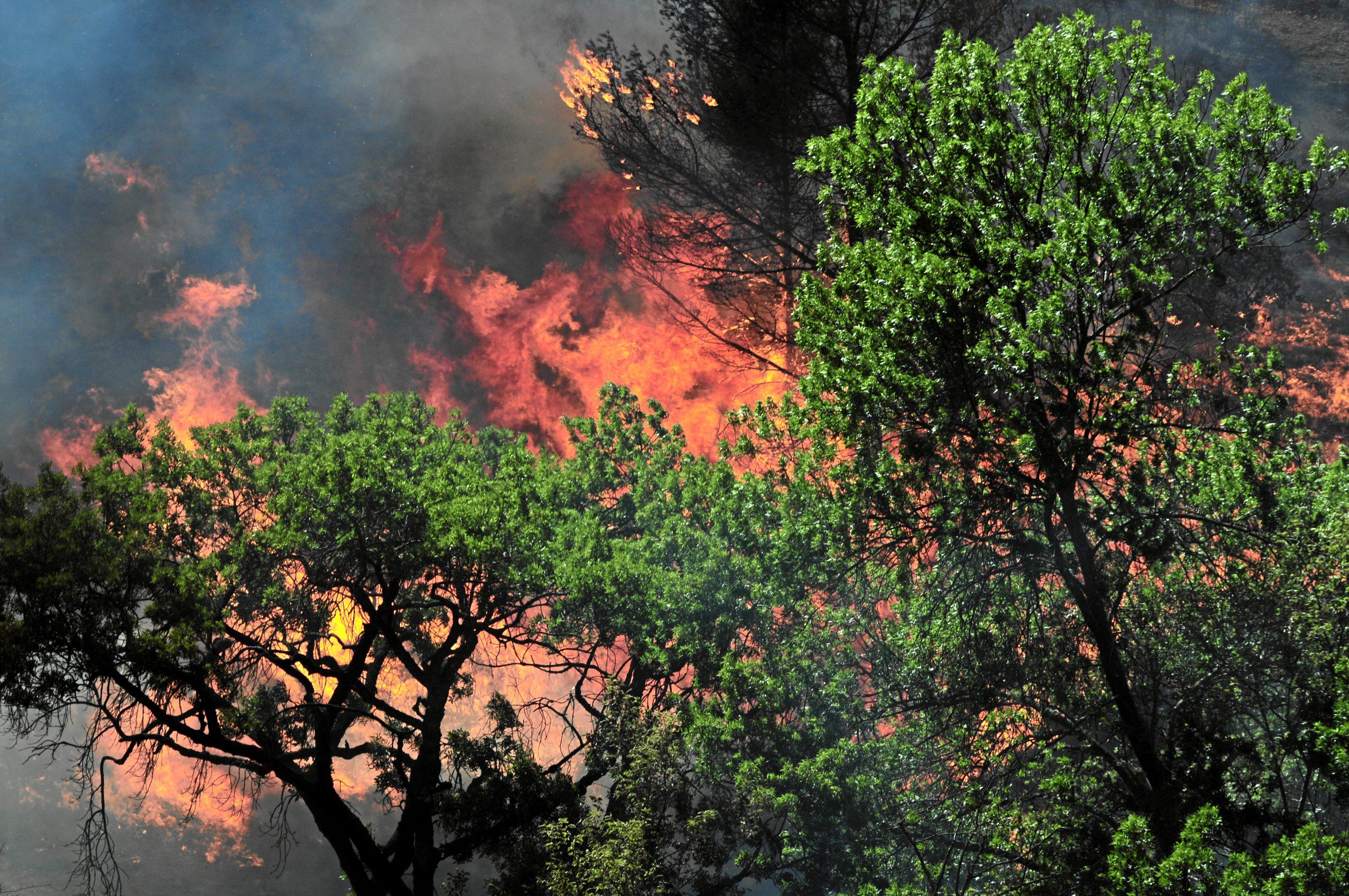 Francia, incendio al sud: evacuate migliaia di persone