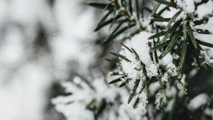 Freddo, raffiche di vento e neve sull'Italia: le previsioni meteo