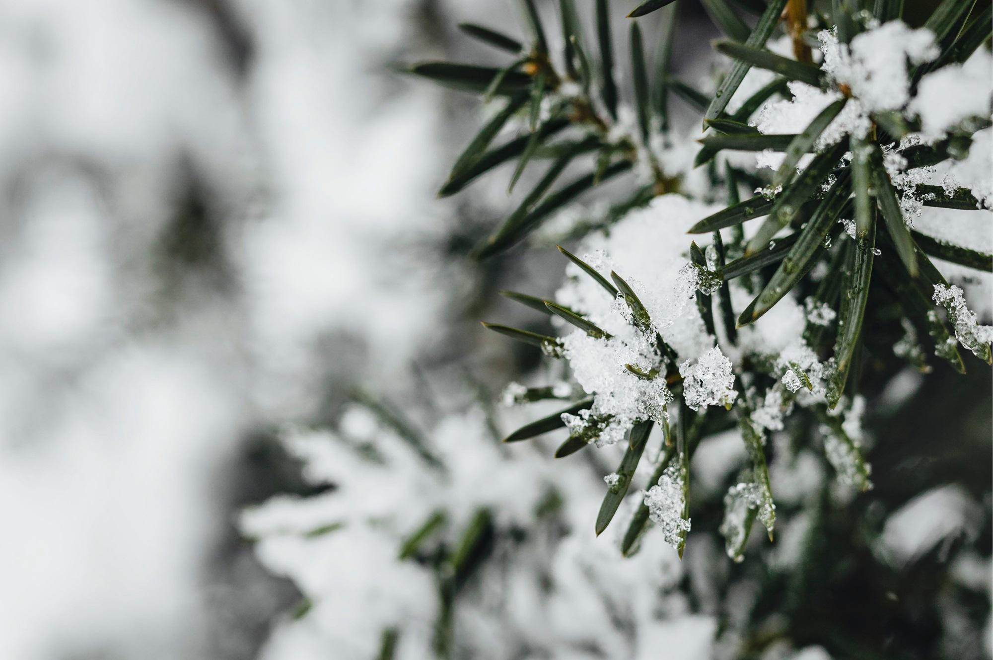 Freddo, raffiche di vento e neve sull'Italia: le previsioni meteo