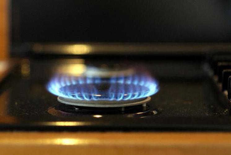 Gas, Arera: "Nel 2022 in Italia crollano i consumi a -10%, primo fornitore Algeria"
