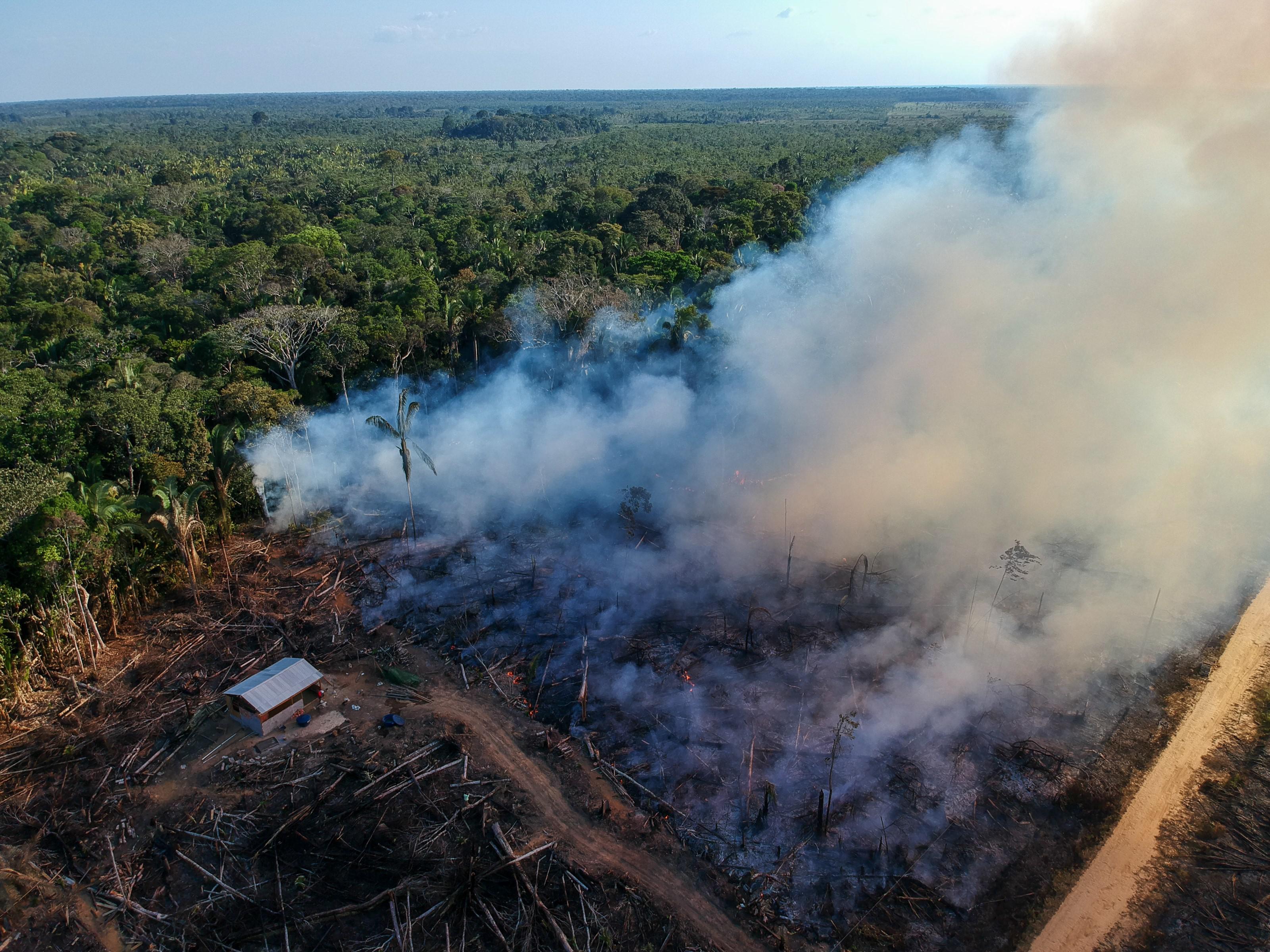 Gb, Sunak vede Lula: "80 milioni di sterline per l'Amazzonia"
