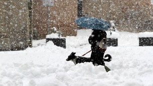 Gelo polare e neve a bassa quota, ecco i giorni più freddi dell'anno