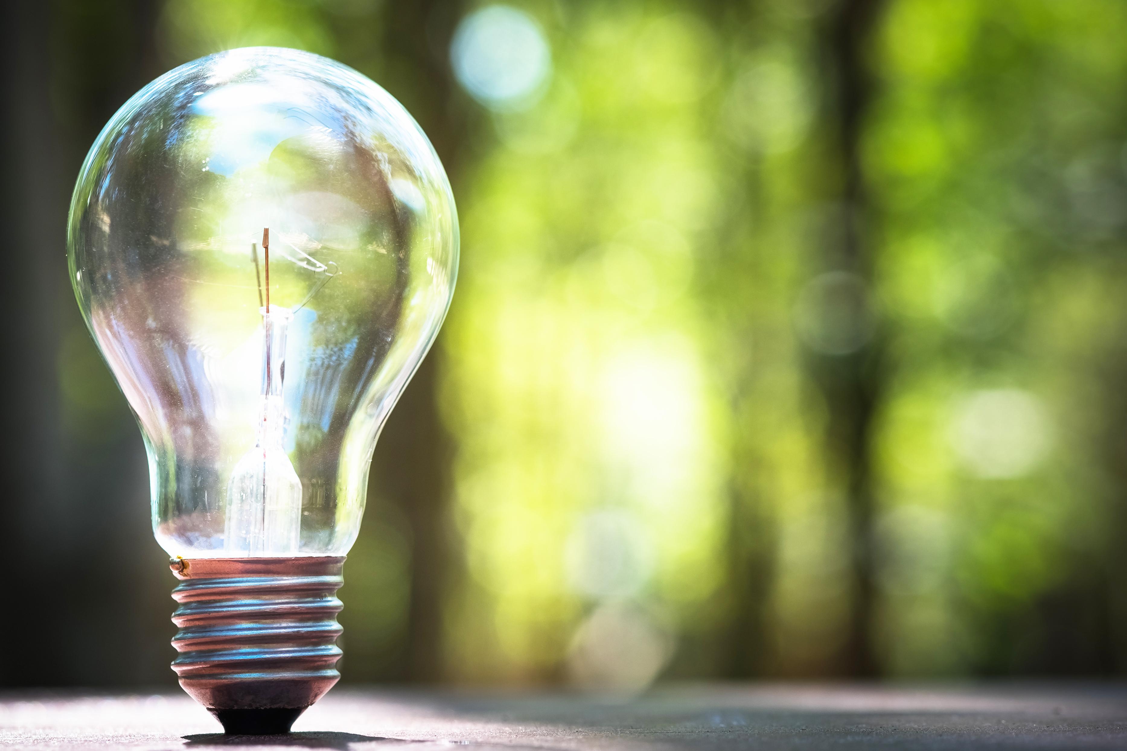 Giovani, la tutela dell’ambiente come priorità