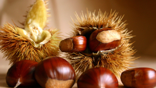 giramondo-castagne-in-cucina-00