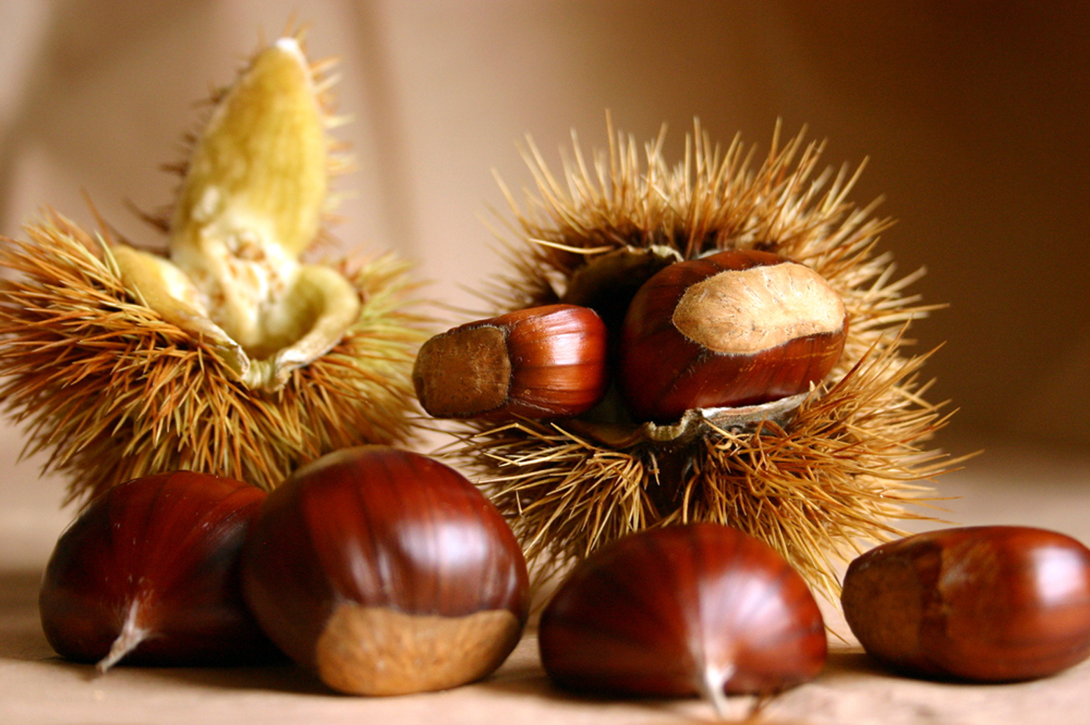 giramondo-castagne-in-cucina-00
