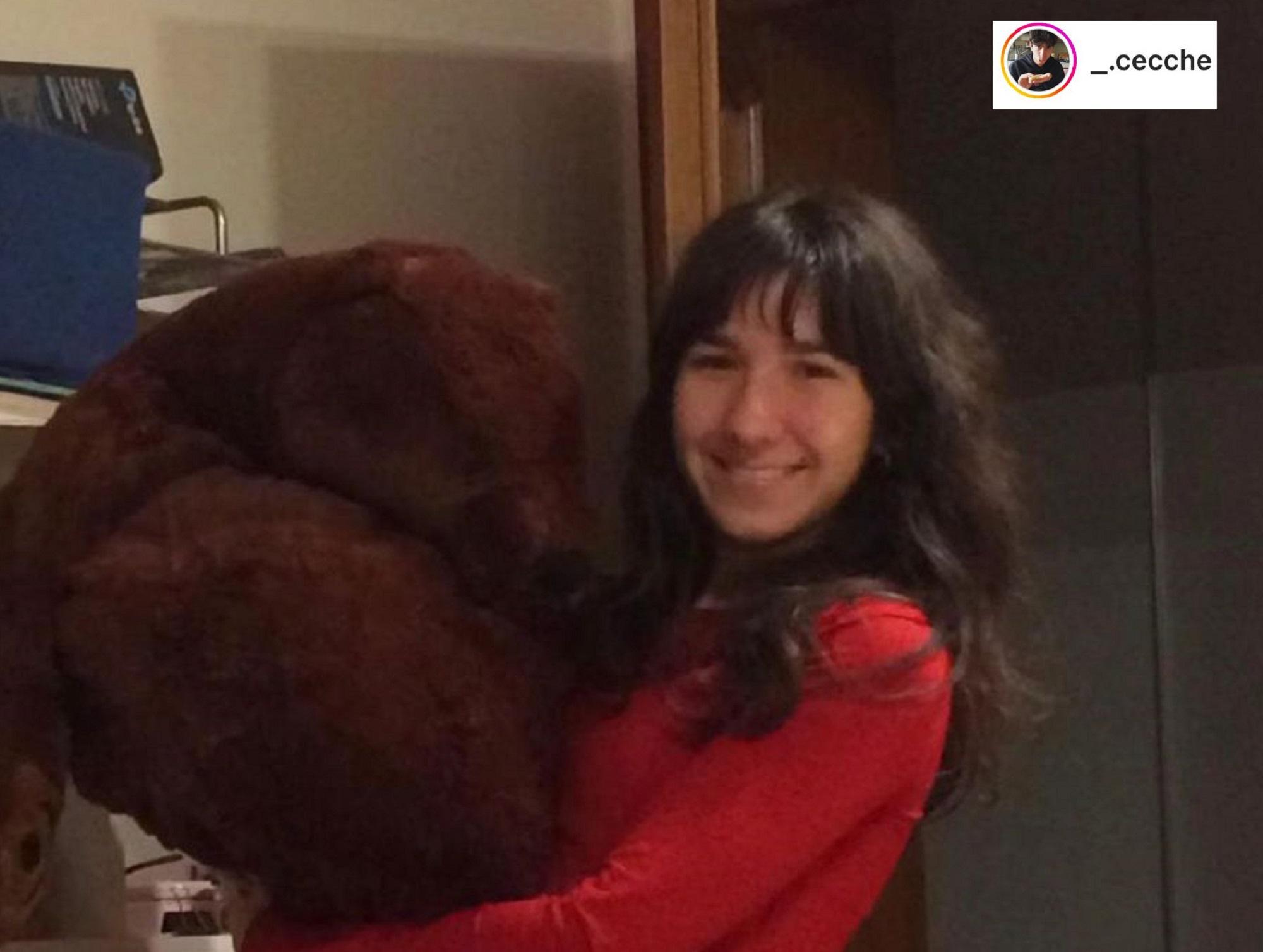 Giulia Cecchettin, il fratello: "I love you susumina"