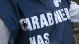 Green pass obbligatorio, controlli Nas: sanzioni a ristoranti e palestre