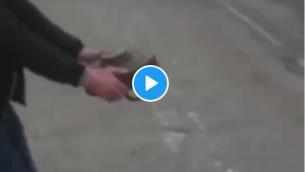 Guerra Ucraina-Russia, toglie mina da strada e la porta via - Video