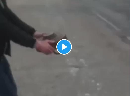 Guerra Ucraina-Russia, toglie mina da strada e la porta via - Video