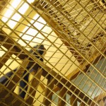 Guinea Bissau, arrestata un'attivista italiana: è in carcere da 5 giorni