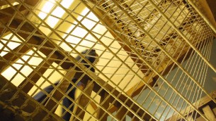 Guinea Bissau, arrestata un'attivista italiana: è in carcere da 5 giorni