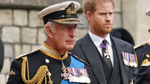 Harry e il ramoscello d'ulivo a Carlo che già rischia di spezzarsi