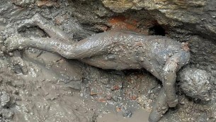 I 24 bronzi di San Casciano scoperti nelle terme di Etruschi e Romani