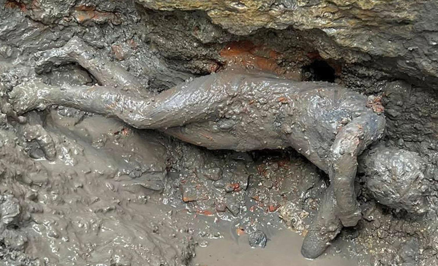 I 24 bronzi di San Casciano scoperti nelle terme di Etruschi e Romani