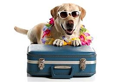 ico_216_cane-e-vacanze-01