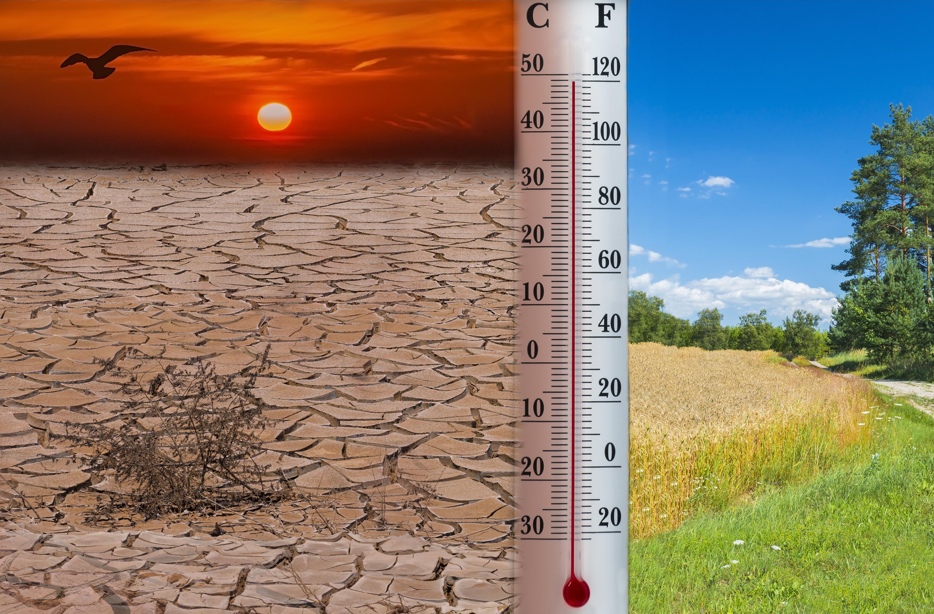 Il 2020 è stato l'anno più caldo in Europa