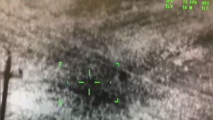 Il leone a Ladispoli: la fuga prima della cattura, il video dall'elicottero