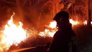In arrivo il grande caldo, è allerta massima per gli incendi