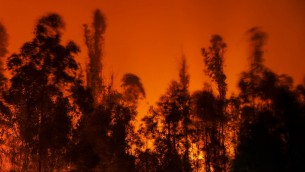 Incendi alle Hawaii, distrutta cittadina su isola Maui: almeno 6 morti