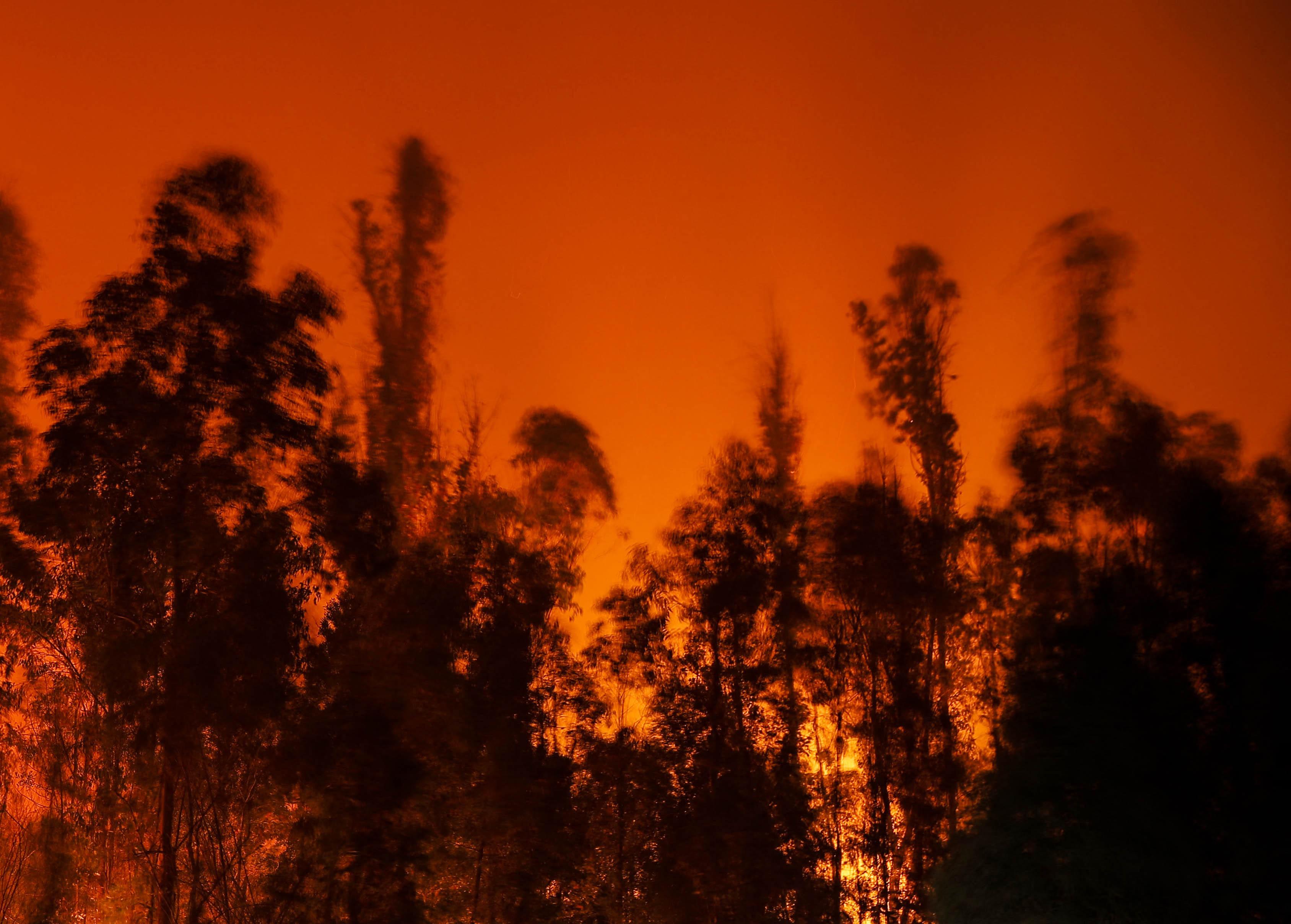 Incendi alle Hawaii, distrutta cittadina su isola Maui: almeno 6 morti