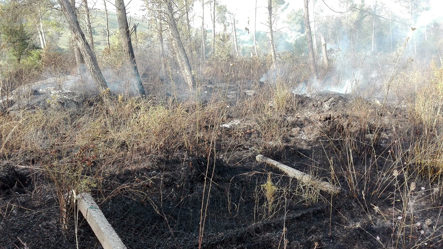 Incendi all'Oasi dell'Angitola (foto Wwf Calabria)