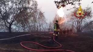 Incendi, bruciano ancora Carso e Versilia