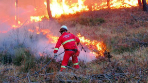 incendi-calabria