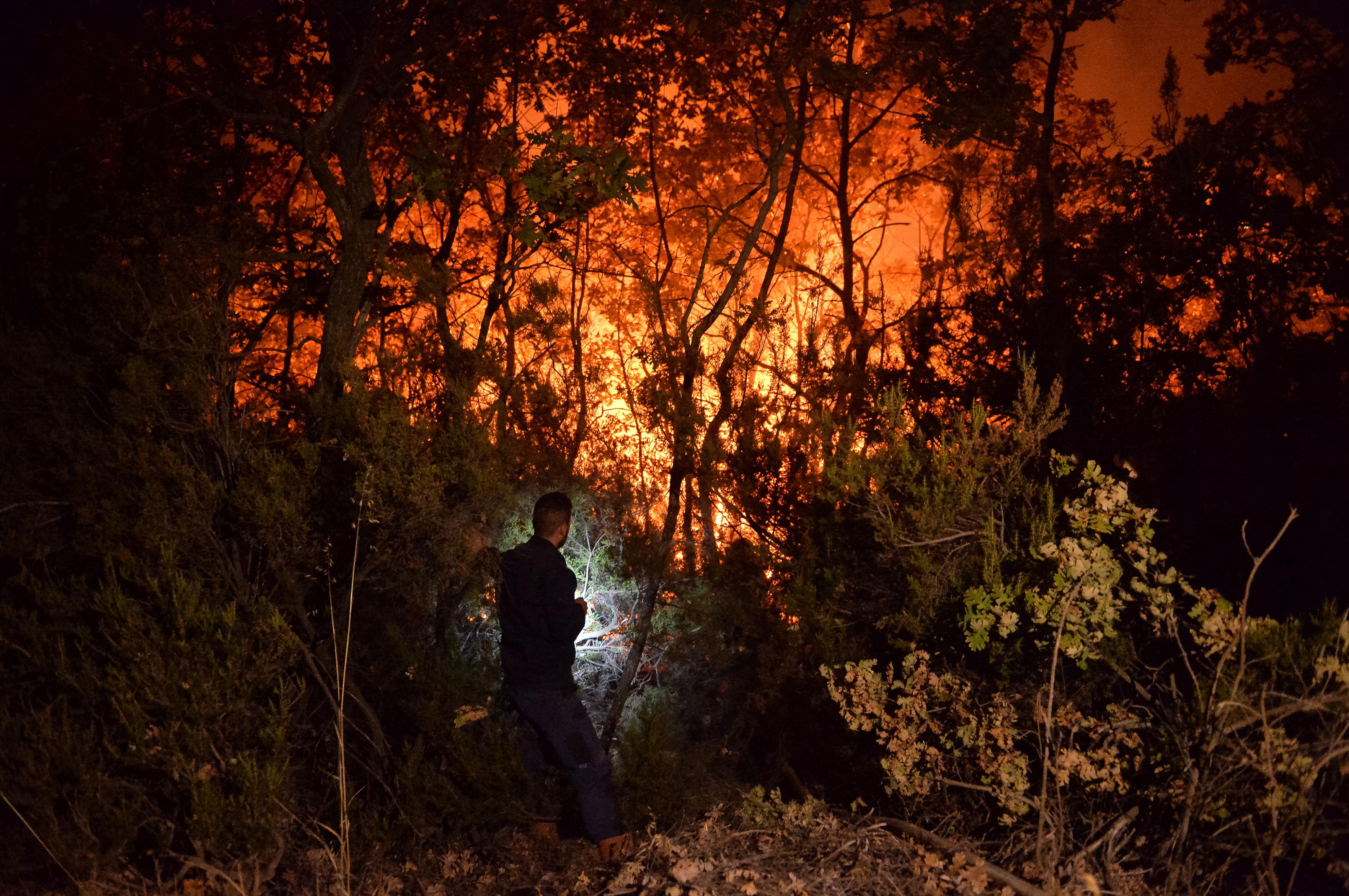 Incendi Calabria, c'è un'altra vittima