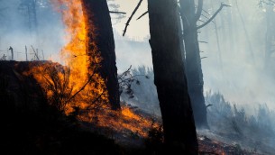 Incendi Calabria, Occhiuto: "80% dolosi, droni contro i piromani" - Video