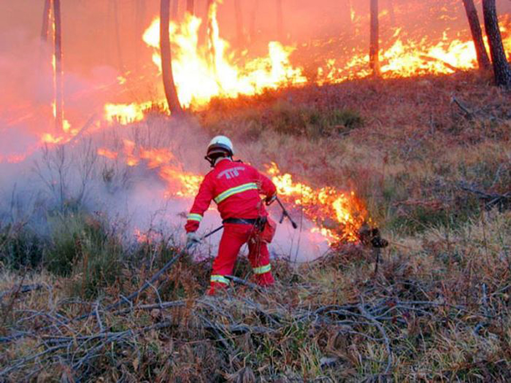 incendi-calabria