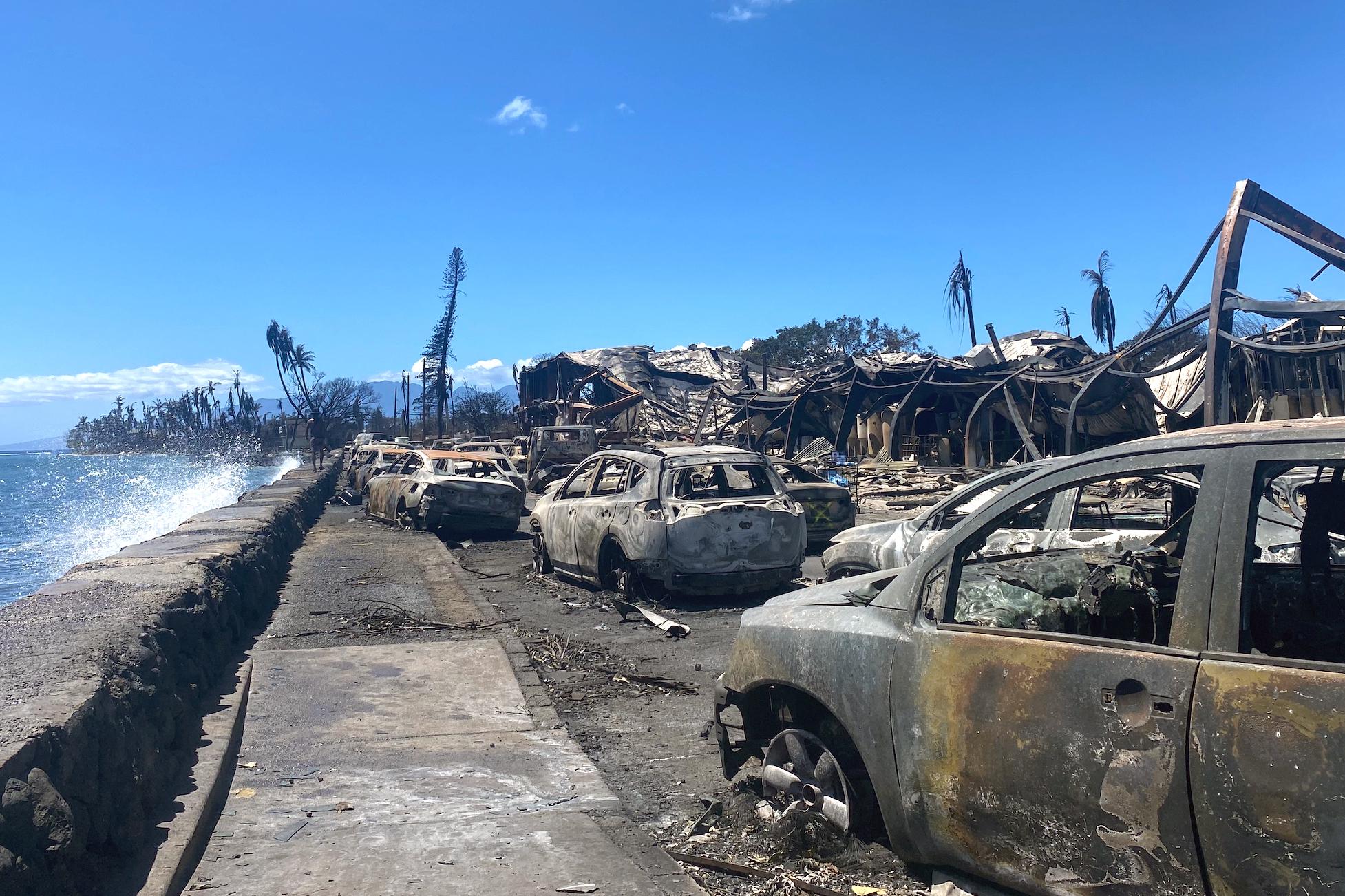 Incendi Hawaii, morti salgono a 110