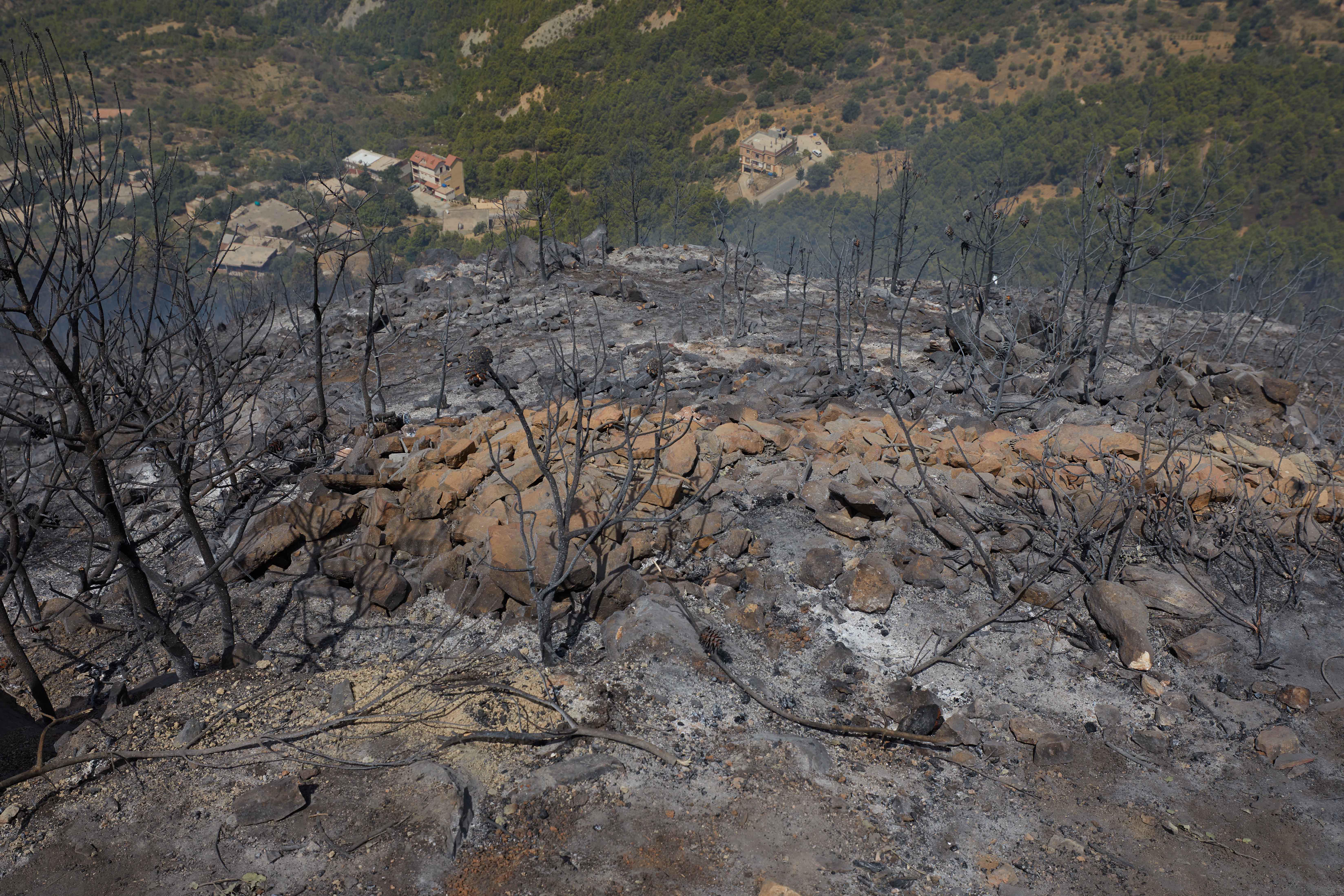 Incendi in Algeria, si aggrava il bilancio dei morti: sono 40