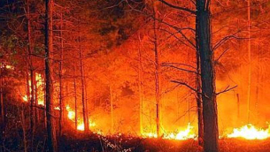 incendi-in-calabria