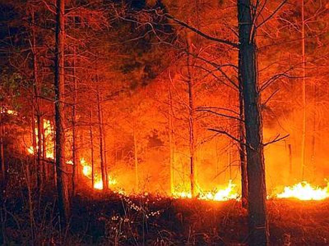 incendi-in-calabria