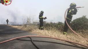 Incendi in Sardegna, vasto rogo nell'Oristanese: case evacuate e Canadair in azione