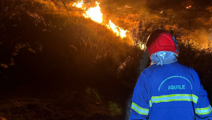 Incendi in Sicilia, decine di interventi nella notte