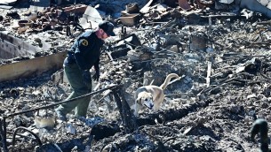Incendi Los Angeles, 24 morti e emergenza continua
