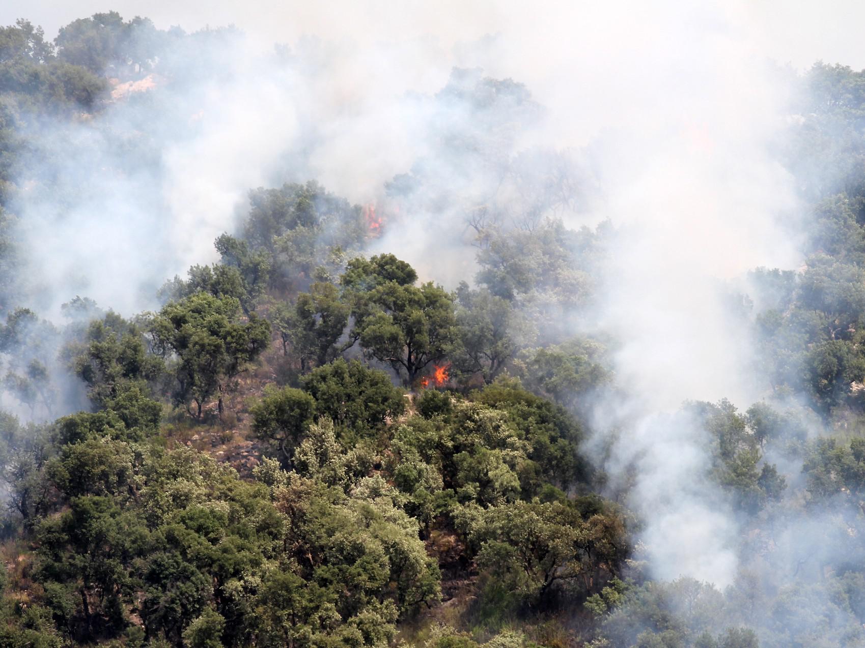 Incendi, Protezione civile: "Richiesta attivazione meccanismo europeo"
