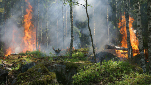 incendio