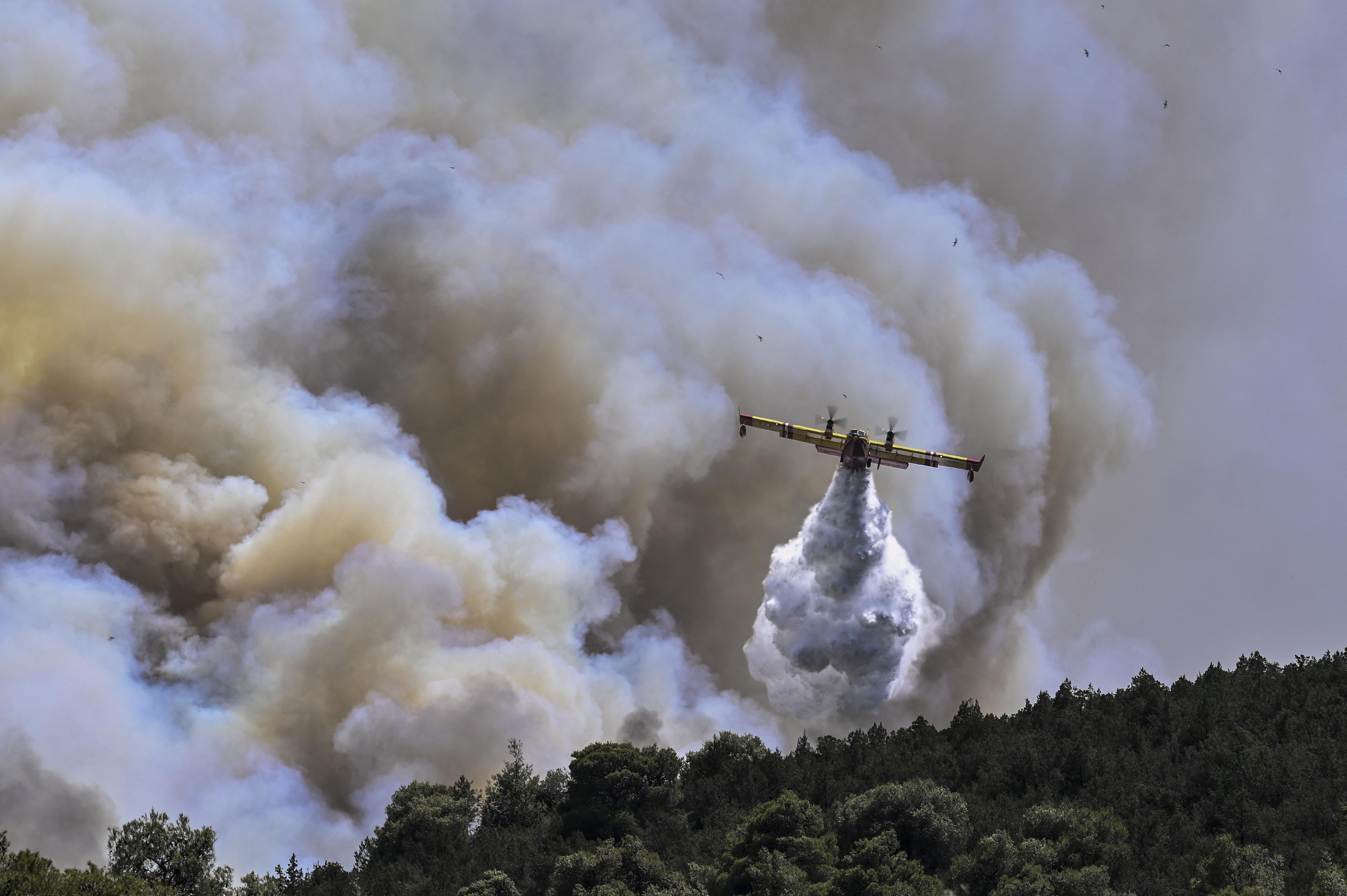 Incendio a Rodi, turista italiano: "E' stata una notte di terrore"