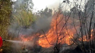 incendio-bos