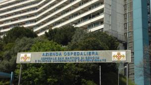 Influenza, sequenziato a Genova il virus dell''australiana' H3N2