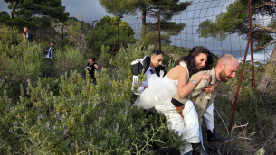 Immagine del film-documentario «Io sto con la sposa»