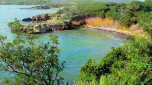 Isole covid free, Sicilia e Sardegna si candidano