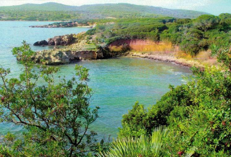 Isole covid free, Sicilia e Sardegna si candidano