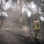 Israele ancora in fiamme, Netanyahu: "18 arresti per sospetto incendio doloso"