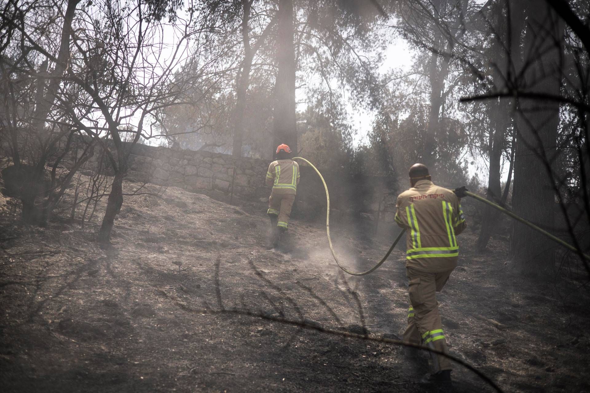 Israele ancora in fiamme, Netanyahu: "18 arresti per sospetto incendio doloso"