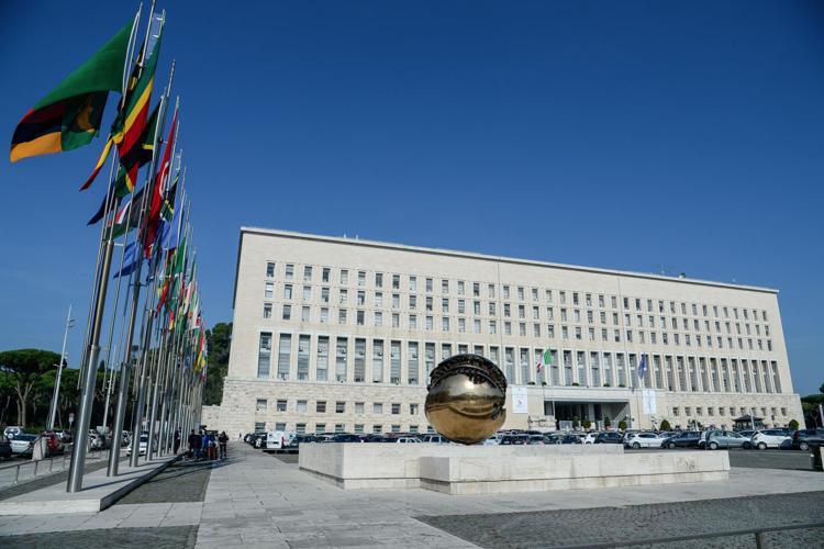 Istanbul, Farnesina monitora eventuale coinvolgimento italiani
