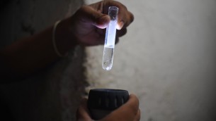 La Dengue allarma il Brasile, ma preoccupano anche Zika e Chikungunya